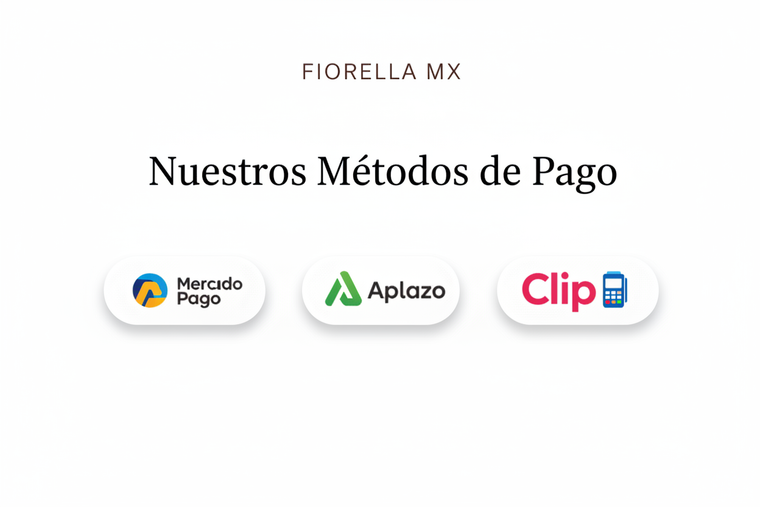 Métodos de Pago - Fondo Blanco